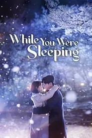 While You Were Sleeping Season 1 Episode 29 (2017)